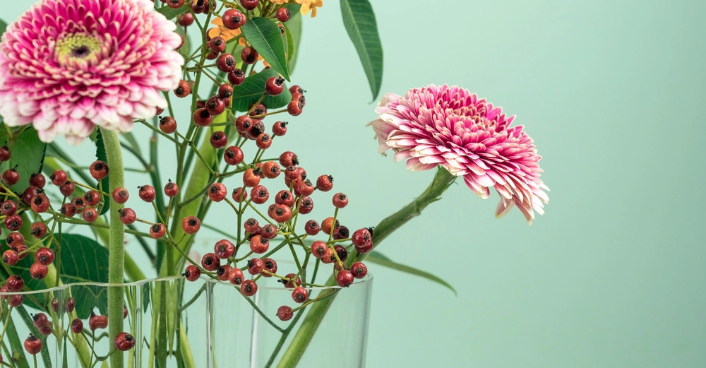 Blumenstrauß mit rosa Blüten und roten Beeren steht in einer transparenten Vase vor einem hellgrünen Hintergrund
