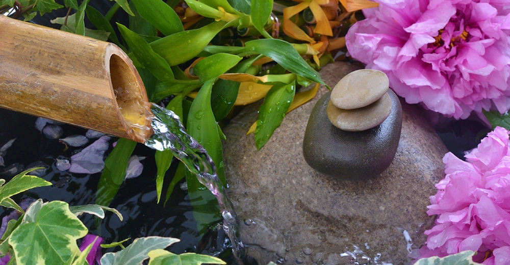 AdobeStock_31334220 Kopie.jpg