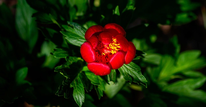 Galerie-Bild 4: AdobeStock_352615881.jpg