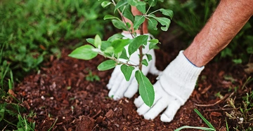 AdobeStock_67845343 Kopie.jpg