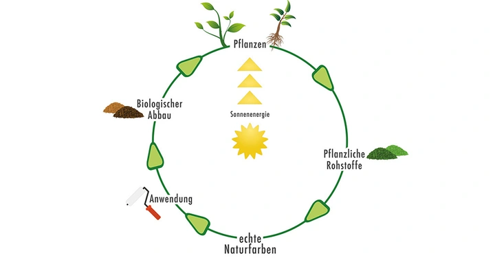 Pflanzen wachsen und liefern pflanzliche Rohstoffe, die zu echten Naturfarben verarbeitet und angewendet werden Biologischer Abbau führt zu Nährstoffen für Pflanzen Sonnenenergie ist eine zentrale Komponente des Zyklus.