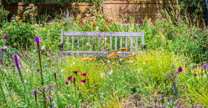 Eine alte Holzbank steht in einem farbenfrohen Garten, umgeben von blühenden Blumen und grünen Pflanzen, vor einer Ziegelmauer im Hintergrund.
