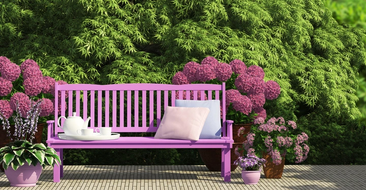 Neonpink gestrichene Garten-Holzbank mit zwei Zierkissen steht vor lila Rhododendronsträuchern und einer saftig grünen Hecke.