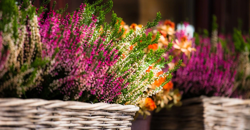 Korb mit bunten Blumen zeigt violette und weiße Blüten dekorativ arrangiert vor einem verschwommenen Hintergrund.