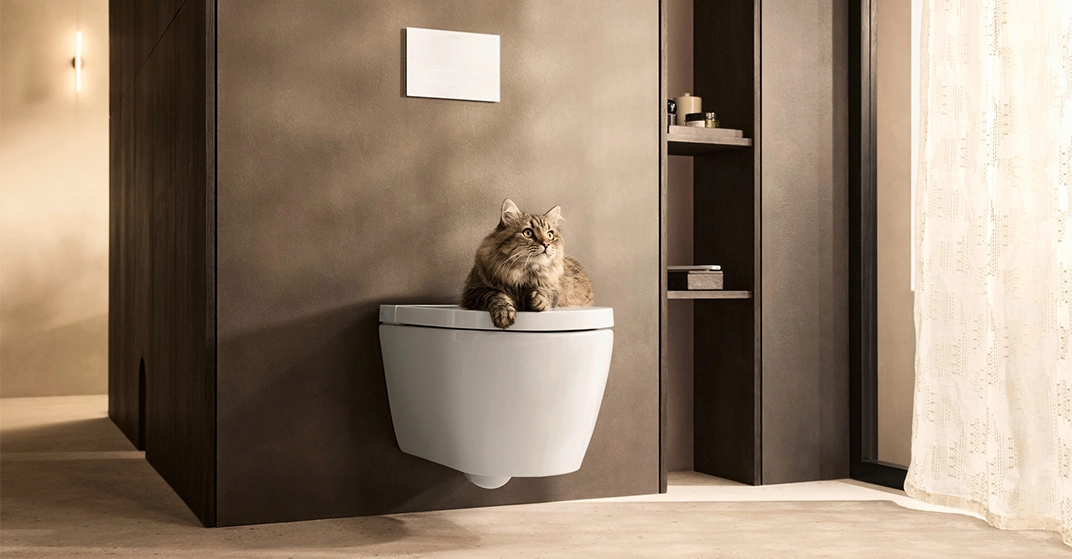 Modernes Dusch-WC privat. Auf dem geschlossenen Deckel sind eine Katze