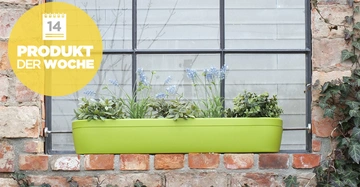 Ein grüner Blumenkasten mit Pflanzen steht auf einer Fensterbank vor einem Fenster einer Backsteinmauer Kontext von Efeu umgeben Text im Bild 14 PRODUKT DER WOCHE