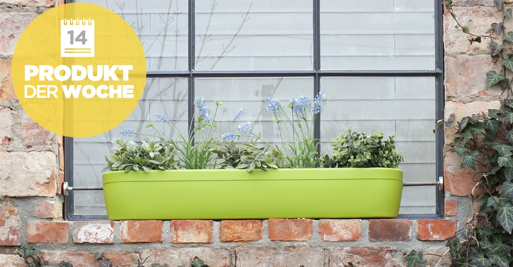 Ein grüner Blumenkasten mit Pflanzen steht auf einer Fensterbank vor einem Fenster einer Backsteinmauer Kontext von Efeu umgeben Text im Bild 14 PRODUKT DER WOCHE