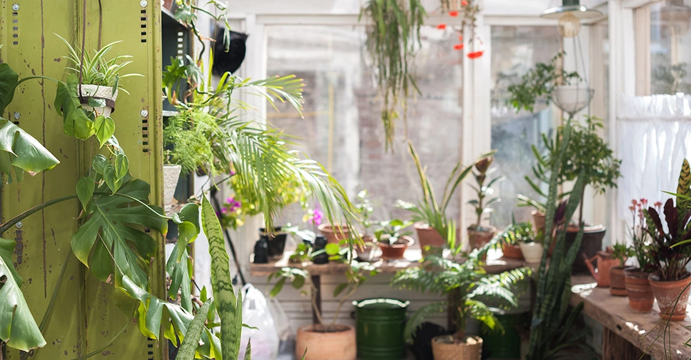 AdobeStock_226077237 Kopie.jpg