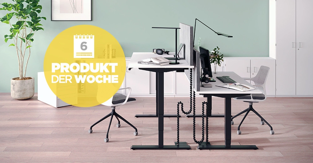 SPINE 4 Doppelschreibtisch, einmal als Sitztisch und einmal als Stehtisch ausgeführt in Büro. Stehpalme im Hintergrund. 