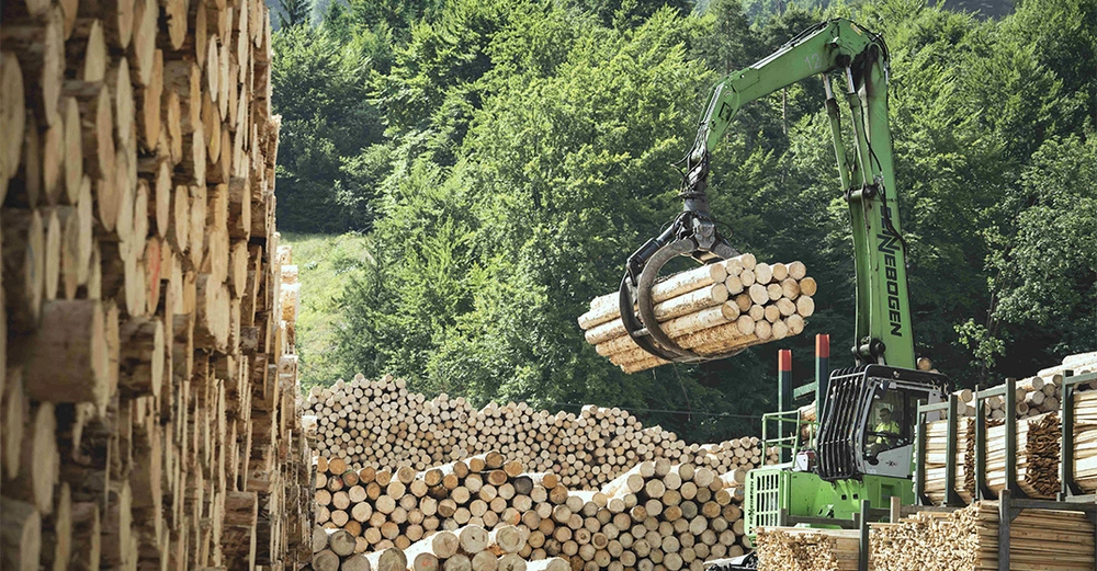 Ein grüner Holzgreifer hebt Baumstämme in einem Holzlagerhof inmitten eines Waldes an. Aufgestapelte Baumstämme sind in der Umgebung zu sehen. Text: NEBOGEN