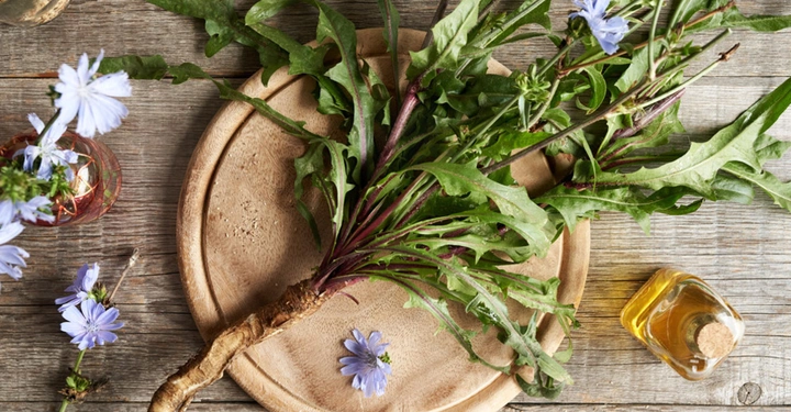 ein Bund Wegwarte mit ein paar Blüten liegt zusammengebunden auf Holzbrett. Rechts davon ein kleines Glas mit einem Auszug aus der Wegwarte