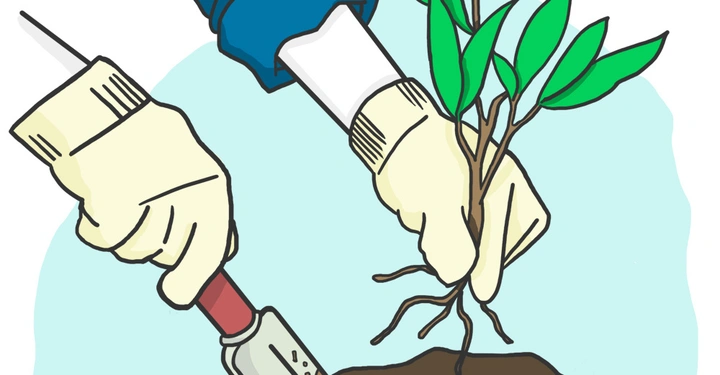 Mit Handschuhen bekleidete Hände pflanzen einen kleinen Setzling in den Boden eine Hand hält eine Pflanzkelle die Erde bewegt während die andere Hand den Setzling stützt Hintergrund hellblau