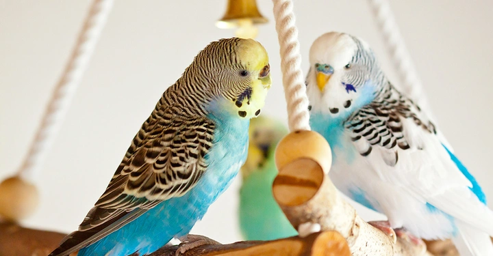 AdobeStock_297346002 Kopie.jpg