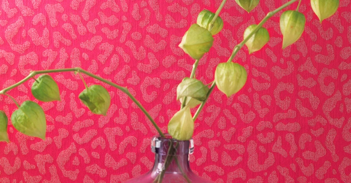 Galerie-Bild 3: Cassata-RGB-(15)_web.jpg