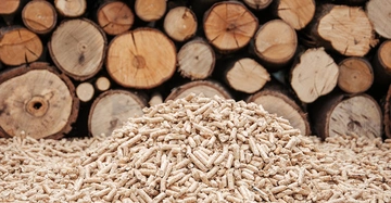 Ein Haufen Holzpellets liegt auf dem Boden vor einem Stapel geschnittener Baumstämme.