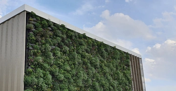 Eine Gebäudewand im Freien ist mit dichtem, grünem Bewuchs bedeckt. Der Himmel ist teilweise bewölkt und blau im Hintergrund sichtbar.