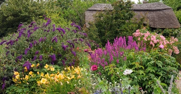 Bunte Blumen blühen üppig in einem Garten, umgeben von dichten grünen Büschen mit einem strohgedeckten Haus im Hintergrund.