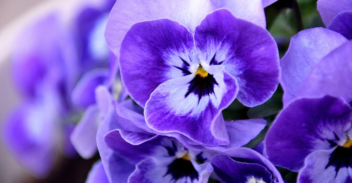 Galerie-Bild 1: AdobeStock_180134177.jpg