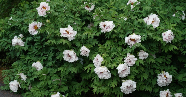 Galerie-Bild 6: AdobeStock_266252550.jpg