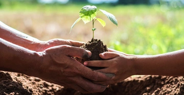 Hände halten gemeinsam einen kleinen Setzling mit Erde im Freien auf einem Feld bei Tageslicht.