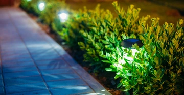In einer gepflasterten Gehwegumgebung beleuchten mehrere Solarlampen eine Reihe von dichten grünen Sträuchern im Dunkeln.