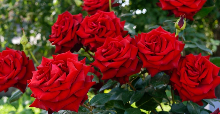 Galerie-Bild 3: AdobeStock_116684910.jpg