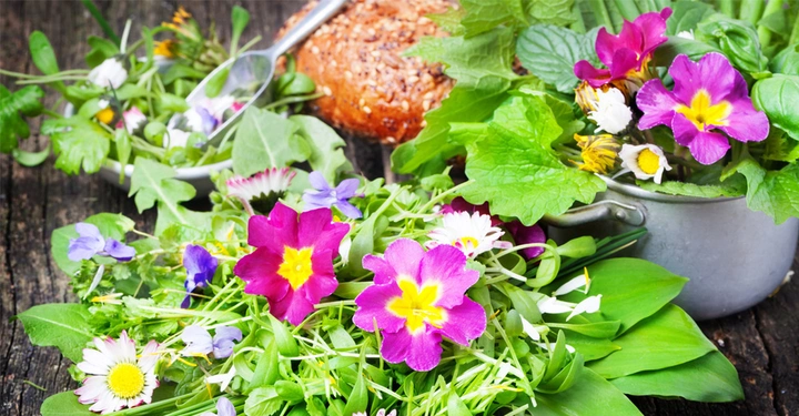 viele essbare Kräuter und Blätter und Blüten, appetitlich auf Tisch angerichtet, im Hintergrund ein frischer Laib Brot. 