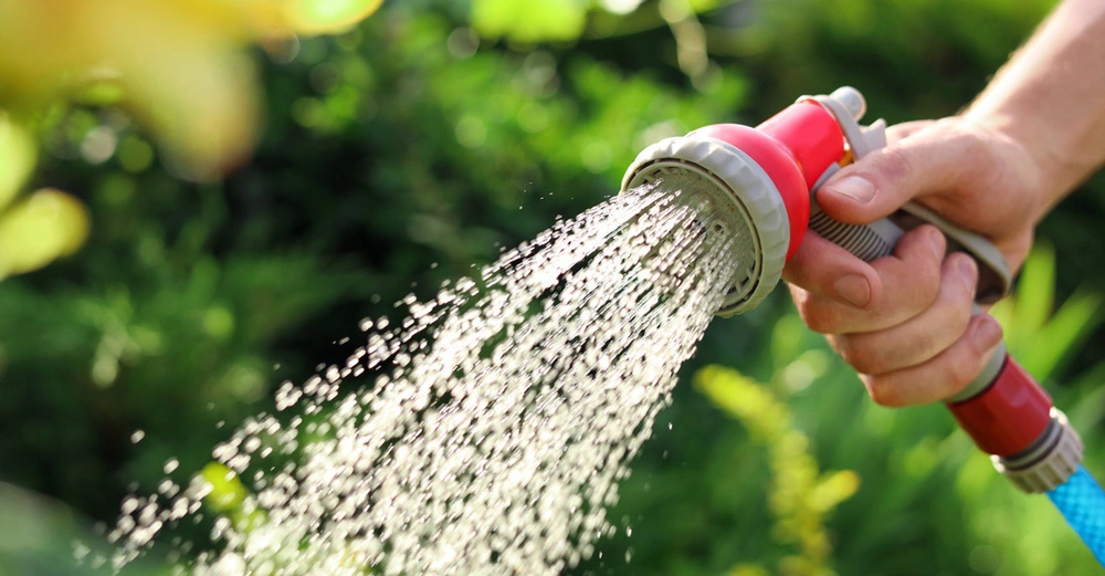 Hand bewässert Gartenpflanzen mit rot-grauem Gartenschlauch. 
