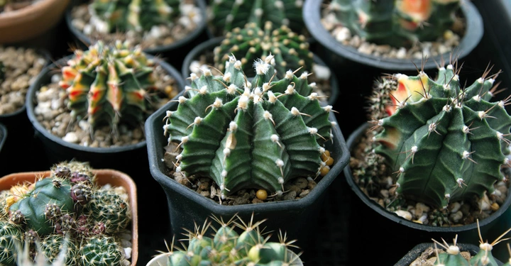 Galerie-Bild 4: AdobeStock_418100210.jpg