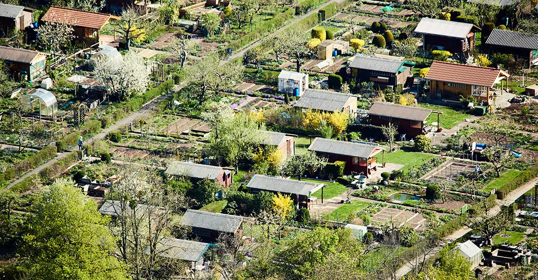 Großaufnahme einer Kleingartensiedlung mit vielen Häuschen, Gärten und Grün.
