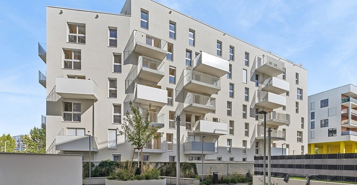 Galerie-Bild 2: backbone_514425-A_056_HD Kopie.jpg