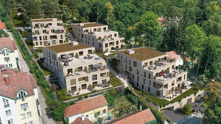 Neubauprojekt Wintergasse 39