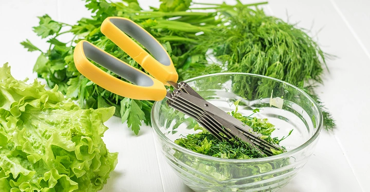 Tisch mit Bündeln frischer, saftig grüner Petersilie. Gelbe Kräuterschere und kleine Glasschüssel mit den bereits zerkleinerten Kräutern