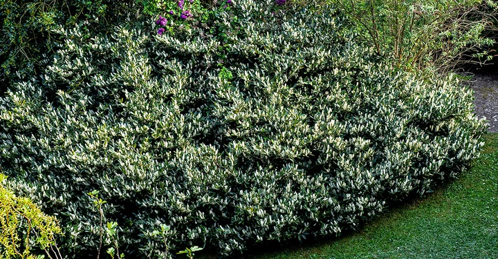 Galerie-Bild 7: AdobeStock_343001078_1000.jpg