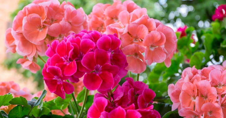 Galerie-Bild 6: AdobeStock_216659173.jpg