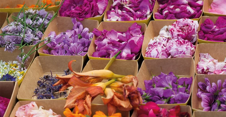 viele bunte essbare Blüten in kleinen braunen Kartons, appetitlich angerichtet. Man sieht Zucchiniblüten, Tulpen, Gänseblümchen, Rotklee und mehr