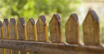 Holzzaun-nasse Zaunlatten stehen dicht beieinander Hintergrund unscharfer Garten mit grünem Laub und hellem Licht
