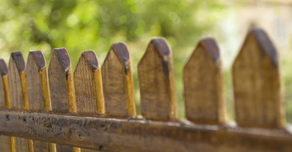 Holzzaun-nasse Zaunlatten stehen dicht beieinander Hintergrund unscharfer Garten mit grünem Laub und hellem Licht