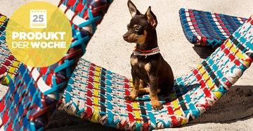 Ein kleiner Hund sitzt auf einem bunten, geflochtenen Strandstuhl am Sandstrand. Text auf gelbem Kreis: 25 PRODUKT DER WOCHE.
