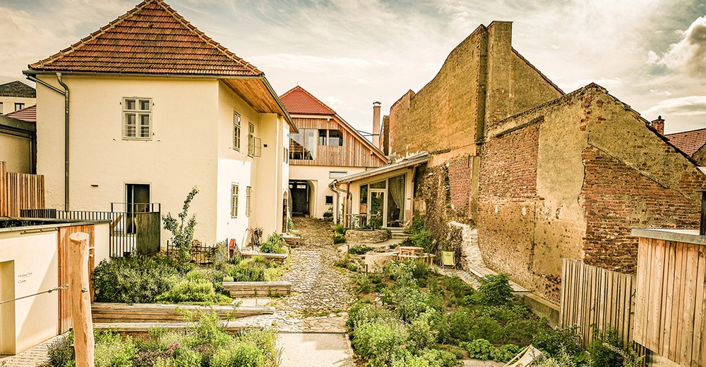 OBS_20250514_OBS0046 Kopie.jpg