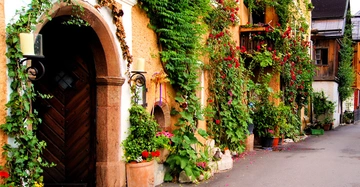 Holztür mit rundem Türbogen bewachsen mit grünen und roten Blumen befinden sich in einer malerischen Gasse mit weiteren gelb getünchten Häusern die ebenfalls üppig von Pflanzen umgeben sind.