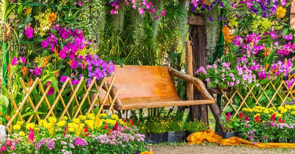Holzbank Stehen Blühende Pflanzen Farbig Blumenbeet Vielfältige Blumen Grünflächen Umgebend Gartenszene