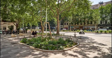 Aufnahme der Neugestaltung Praterstraße, Pflaster, Baumscheibe, viel Grün