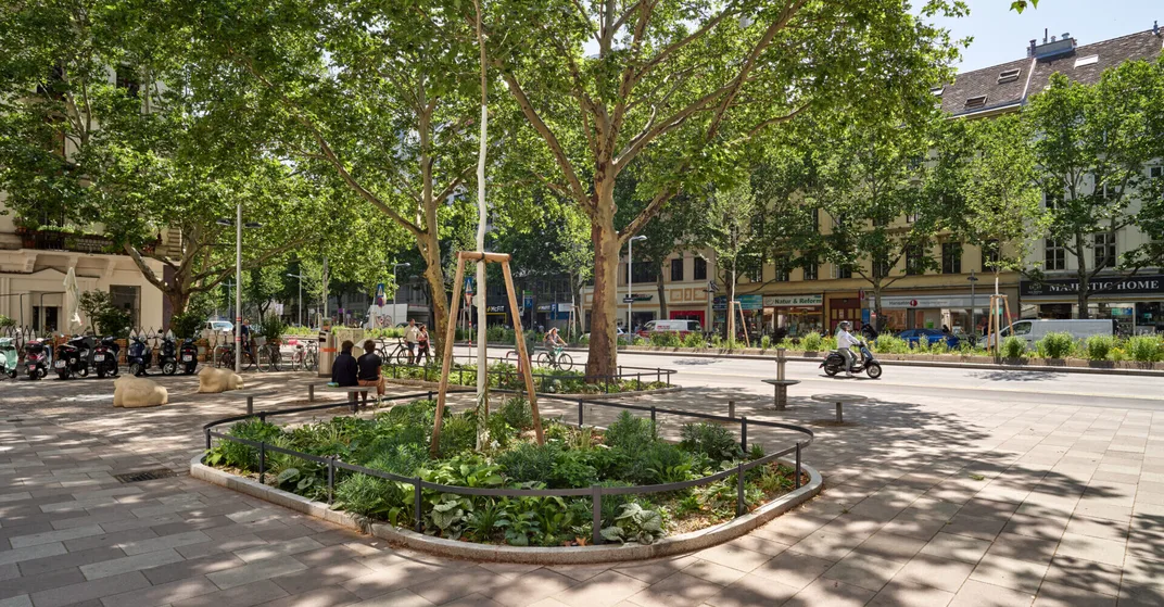 Aufnahme der Neugestaltung Praterstraße, Pflaster, Baumscheibe, viel Grün