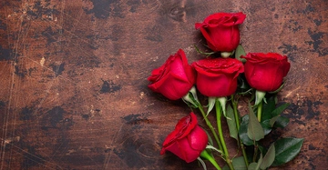 AdobeStock_300091669 Kopie.jpg