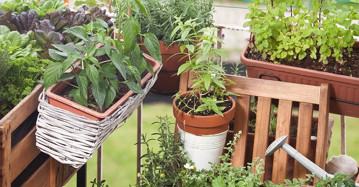 Blumentöpfe mit verschiedenen Pflanzen stehen auf einem Balkon Holzmöbel und weitere Pflanzen umgeben die Szene Gießkanne liegt auf dem Boden Die Umgebung ist grün und hell