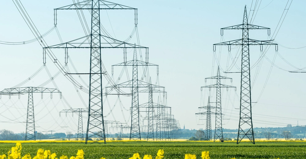 Mehrere hohe Strommasten tragen elektrische Leitungen über grüne Felder mit einigen gelben Blumen im Vordergrund während ein bewaldeter Horizont und ein blauer Himmel die Szenerie umgeben